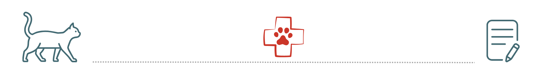  healthy dog supported by pet insurance at Riverview Veterinary Center East China MI
