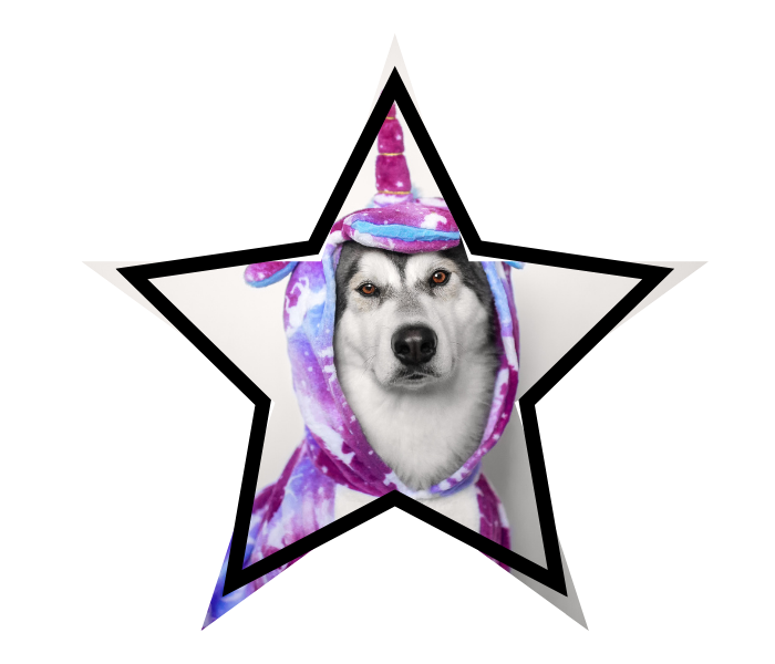 A dog wearing a unicorn costume, showing how pet owners can believe in pet myths that need to be corrected at Riverview Veterinary Center